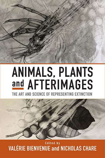 Animals, Plants and Afterimages